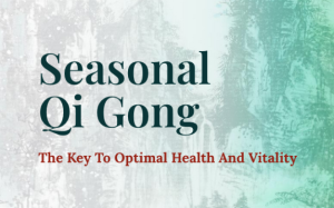 Tom Bisio - Seasonal Qi Gong