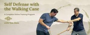 Tom Bisio - Self-Defense with the Walking Cane