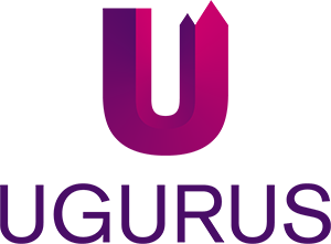 Ugurus Web Design Sales Kit