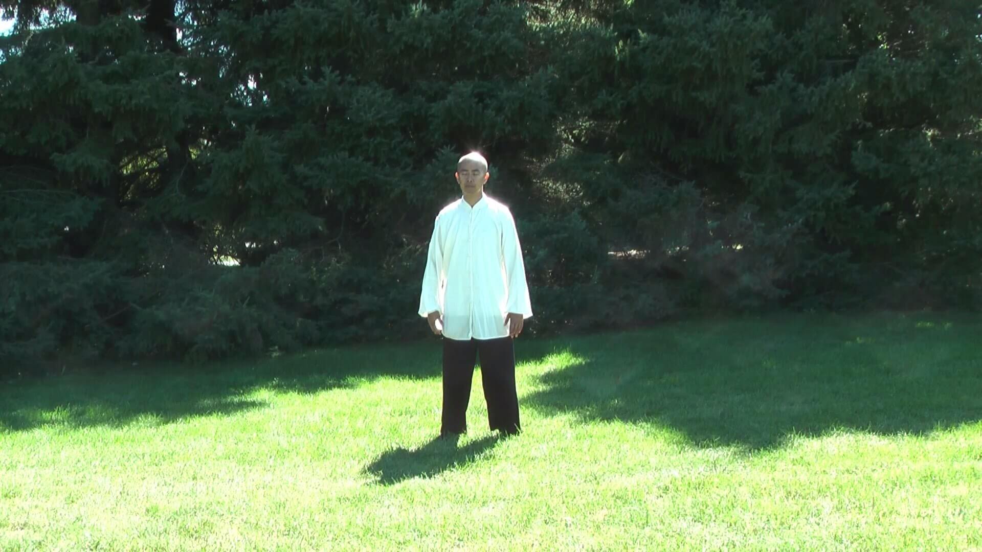 Wing-Cheun-Tal-Chi-Qigong-Shibashi-ST-Set-1-1