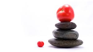 Shawn Phillips and Ken Wilber Fuel For Life 10 Strategies for Nutritional Freedom