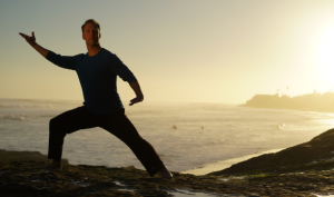 lee Holden The Five Elements Qigong Online Program