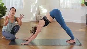 Briohny Smyth - Aligned Asana Yoga Verbal Cues