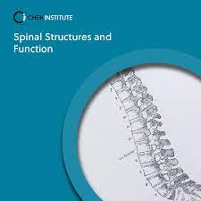 CHEK Institute - Spinal Structures & Function