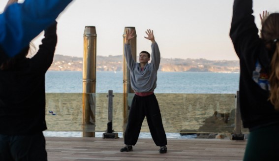 Monkey Flow Acrobatics Creative Cartwheels Monkey Flow Acrobatics: Creative Cartwheels