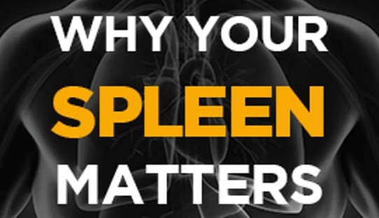 Perry Nickelston – Stop Chasing Pain – Why Your Spleen Matters Perry Nickelston - Stop Chasing Pain - Why Your Spleen Matters