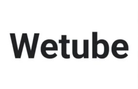 Sam Ovens - Wetube