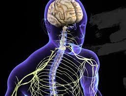 Perry Nickelston - Vagus Nerve Mojo Webcast