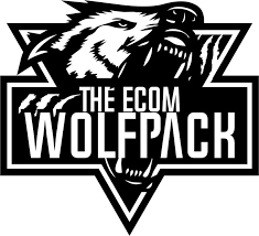 The Ecom Wolf Pack - Dropshipping To Branding Course