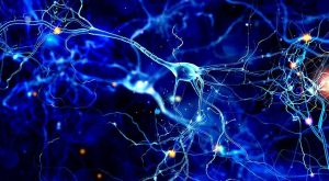 Sigh Energy - Brain Improvement Process Powerful Plus +11x (Extra Strong)