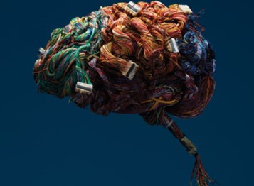 Sebern F Fisher – Neurofeedback in the Treatment of Developmental Trauma Calming the Fear-Driven Brain Sebern F Fisher - Neurofeedback in the Treatment of Developmental Trauma: Calming the Fear-Driven Brain