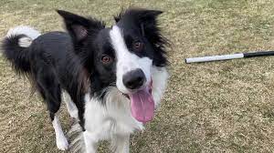 Pernilla Pöykiöniemi - Rallylydnad, nybörjare