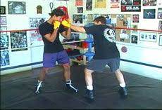 Chris Getz - Ultimate Boxing 8 DVD Set