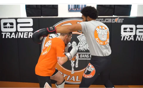 Duane Ludwig - Dynamic Striking Defense