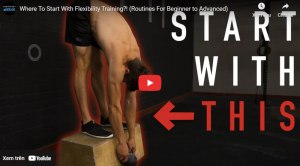 Bodyweight Warrior- Flexibility training Program