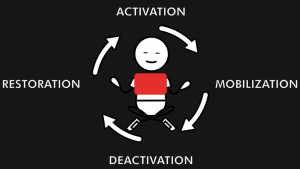 Scott Lyons - Somatic Stress Release™ Certificate 2022