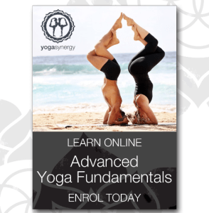 Bianca Machliss & Simon Borg-Oliver - Yoga Synergy - Advanced Yoga Fundamentals - Essentials for teaching Yoga