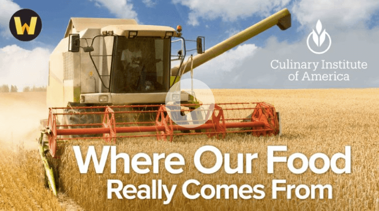Brad Barnes - Where Our Food Really Comes From