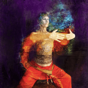 Centre of Excellence - Chi Gung Diploma Course