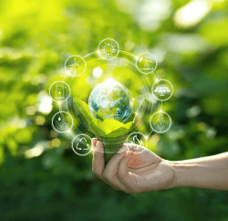 Centre of Excellence - Ecology Diploma Course