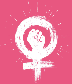 Centre of Excellence - History of Feminism Diploma Course