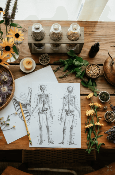 THE HERBAL ACADEMY - Advanced Herbal Course