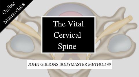 John Gibbons - The Vital Cervical Spine Masterclass