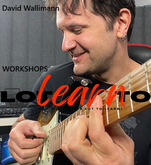 David Wallimann - WORKSHOPS
